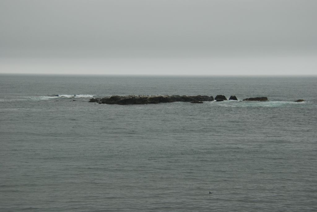 DSC_1476.JPG